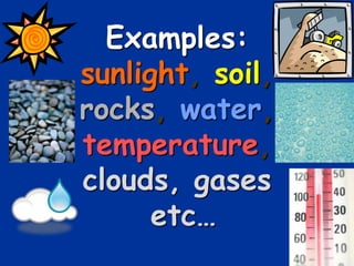 Examples:
sunlight, soil,
rocks, water,
temperature,
clouds, gases
etc…
 