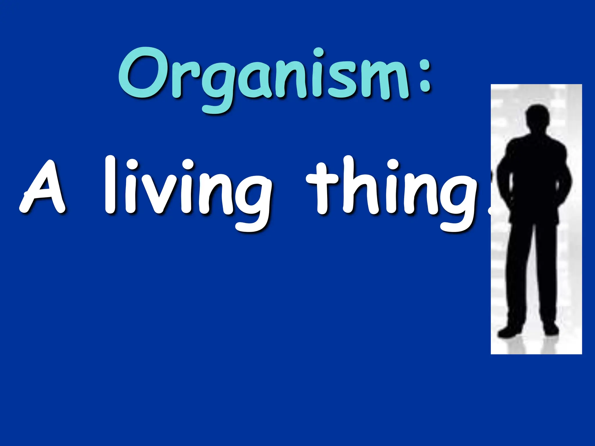 Organism:
A living thing.
 