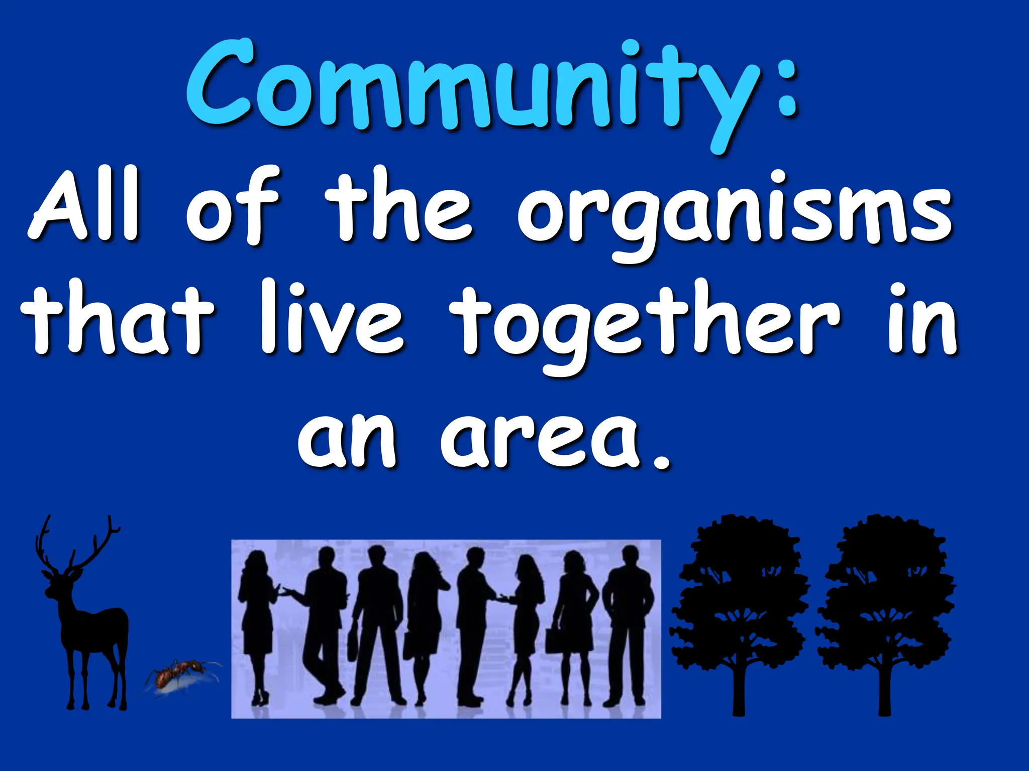 Community:
All of the organisms
that live together in
an area.
 