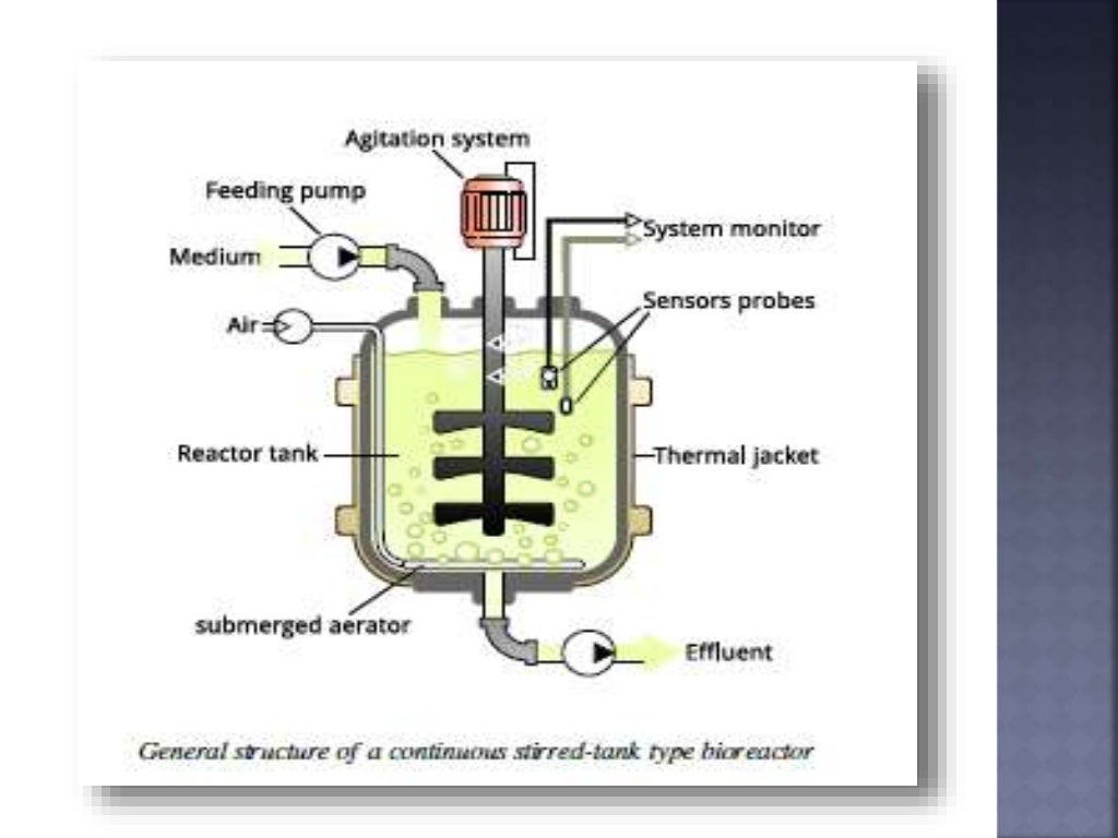 Components of a typical fermenter