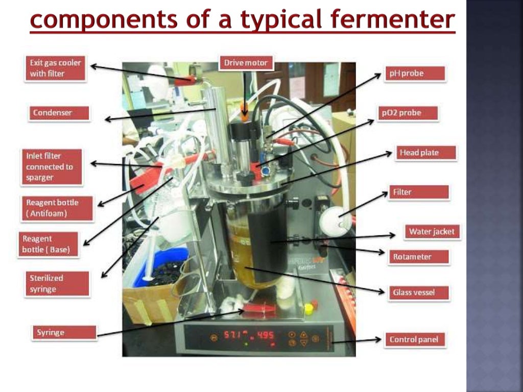 Components of a typical fermenter
