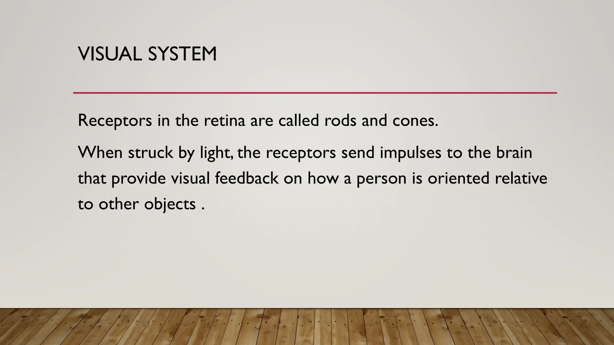 VISUAL SYSTEM
Receptors in the retina are called rods and cones.
When struck by light, the receptors send impulses to the brain
that provide visual feedback on how a person is oriented relative
to other objects .
 