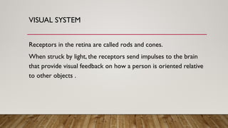VISUAL SYSTEM
Receptors in the retina are called rods and cones.
When struck by light, the receptors send impulses to the brain
that provide visual feedback on how a person is oriented relative
to other objects .
 