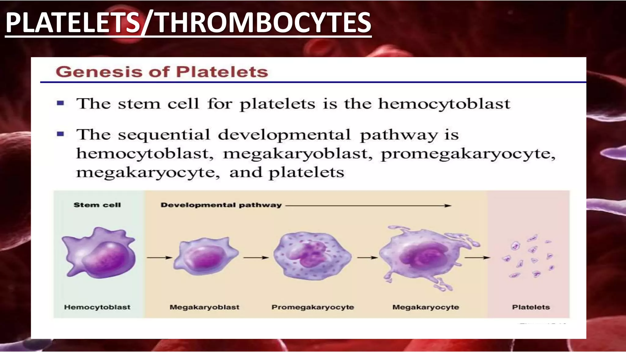 Components of blood and blood clotting mechanism PPTX Components of blood and blood clotting mechanism PPTX