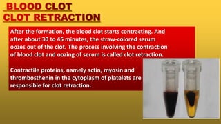 Clot Retraction Process Components of blood and blood clotting mechanism | PPTX