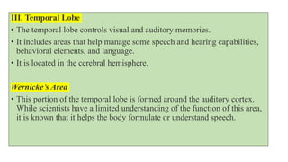 III. Temporal Lobe
• The temporal lobe controls visual and auditory memories.
• It includes areas that help manage some speech and hearing capabilities,
behavioral elements, and language.
• It is located in the cerebral hemisphere.
Wernicke’s Area
• This portion of the temporal lobe is formed around the auditory cortex.
While scientists have a limited understanding of the function of this area,
it is known that it helps the body formulate or understand speech.
 
