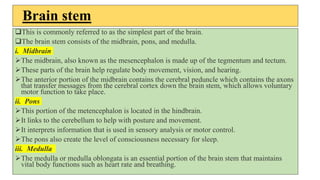 Brain stem
This is commonly referred to as the simplest part of the brain.
The brain stem consists of the midbrain, pons, and medulla.
i. Midbrain
The midbrain, also known as the mesencephalon is made up of the tegmentum and tectum.
These parts of the brain help regulate body movement, vision, and hearing.
The anterior portion of the midbrain contains the cerebral peduncle which contains the axons
that transfer messages from the cerebral cortex down the brain stem, which allows voluntary
motor function to take place.
ii. Pons
This portion of the metencephalon is located in the hindbrain.
It links to the cerebellum to help with posture and movement.
It interprets information that is used in sensory analysis or motor control.
The pons also create the level of consciousness necessary for sleep.
iii. Medulla
The medulla or medulla oblongata is an essential portion of the brain stem that maintains
vital body functions such as heart rate and breathing.
 
