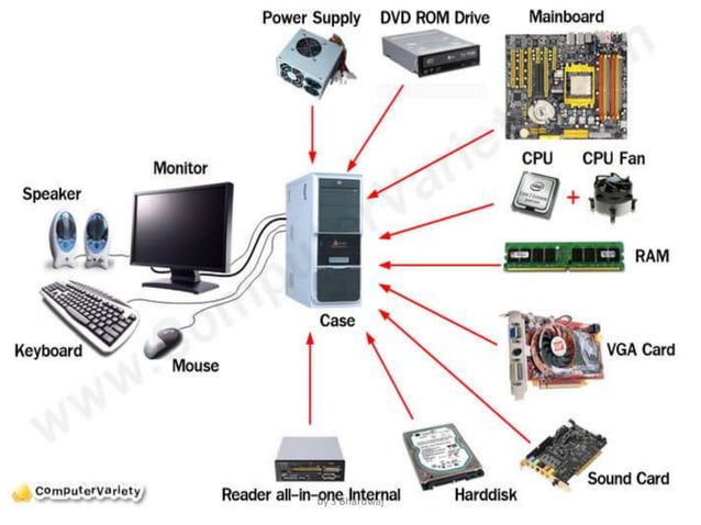 Components of computer and software: Introduction | PPT