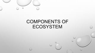 COMPONENTS OF
ECOSYSTEM
 
