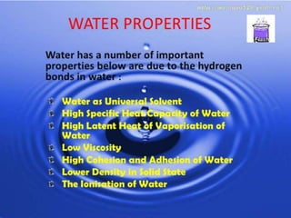 Components of environment | PPTX