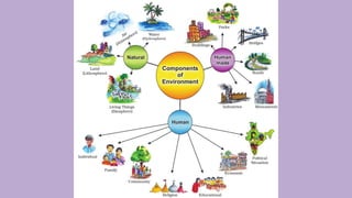Components of environment –_20250325_142310_0000.pptx