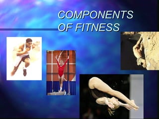 COMPONENTS
OF FITNESS

 