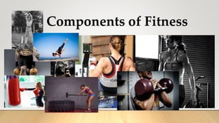 Components of Fitness
 