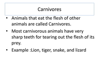 Carnivores
• Animals that eat the flesh of other
animals are called Carnivores.
• Most carnivorous animals have very
sharp...