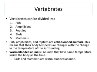 Vertebrates
• Vertebrates can be divided into
1. Fish
2. Amphibians
3. Reptiles
4. Birds
5. Mammals
• Fish, amphibians, an...
