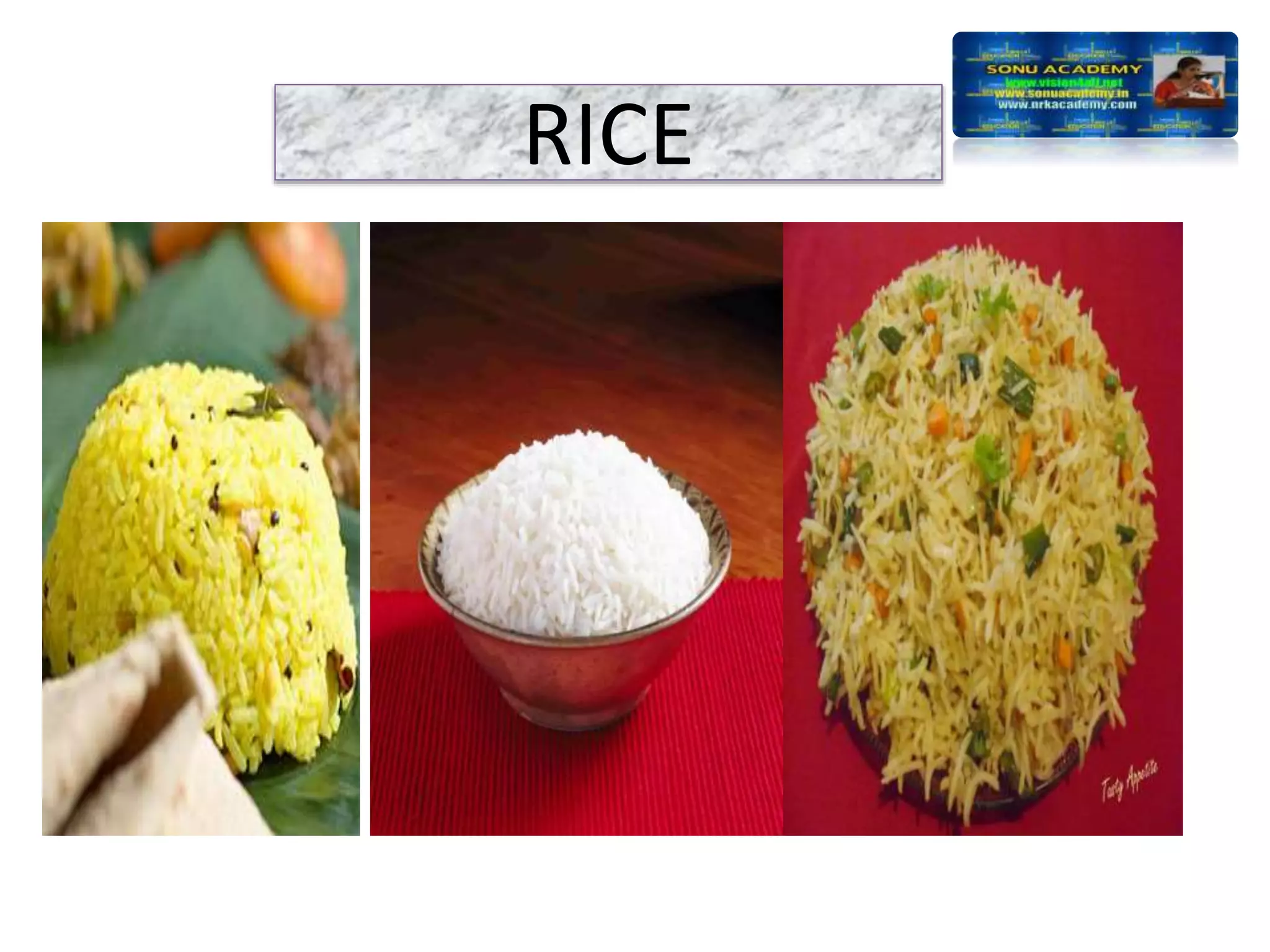 RICE
 