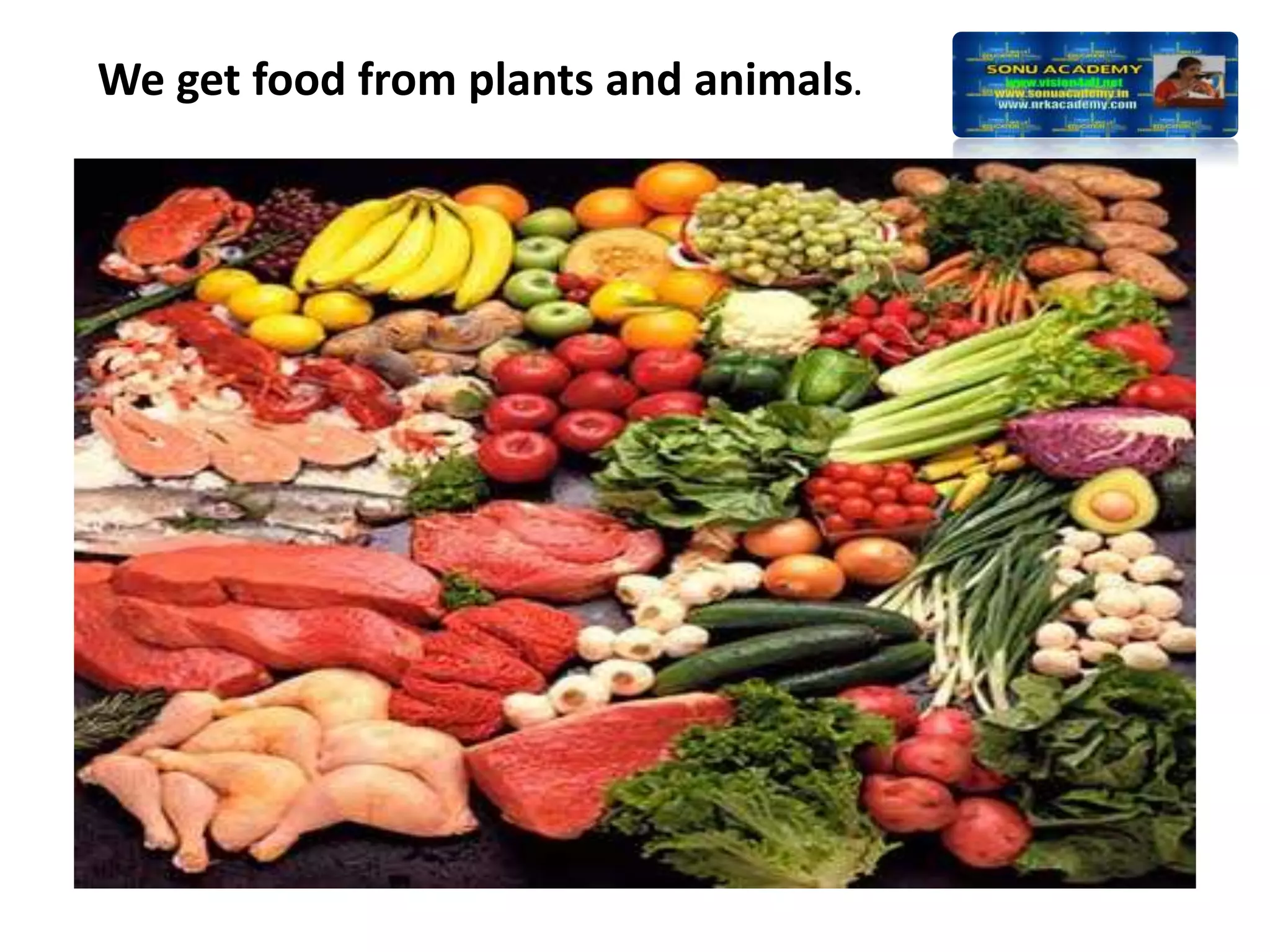 We get food from plants and animals.
 