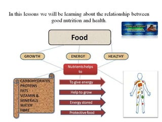 COMPONENTS OF FOOD - CLASS VI | PPTX