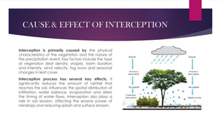 Interception In Geography COMPONENTS OF HYDROLOGICAL SYSTEM TRS.pptxx.pptx