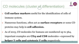 Components of Immune System Dr Sharan.pptx