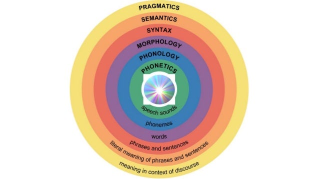 Components of Language