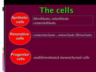 Components of periodontal ligament.pptx