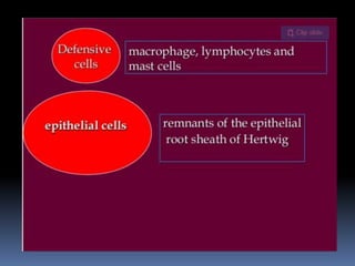 Components of periodontal ligament.pptx