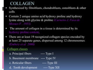 COLLAGEN
 Synthesized by fibroblasts, chondroblasts, osteoblasts & other
cells
 Contain 2 unique amino acid hydroxy proline and hydroxy
lysine along with glycine & proline (Carneiro J, Fava de
Moraes F , 1955)
 The amount of collagen in a tissue is determined by its
hydroxy proline content.
 There are at least 19 recognized collagen species encoded by
at least 25 separate genes, dispersed among 12 chromosomes
(Embery et al 2000)
Collagen classes
a. Principal fibers ---- Type I
b. Basement membrane ---- Type IV
c. Reticular fibers ---- Type III
d. Tooth development ---- Type XII
 