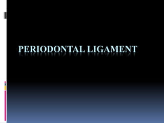 PERIODONTAL LIGAMENT
 