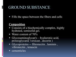 GROUND SUBSTANCE
 Fills the space between the fibers and cells
Composition
 Consists of a biochemically complex, highly
hydrated, semisolid gel.
 Water content of 70%
 Glycosaminoglycan's – hyaluronic acid,
proteoglycans( versican , decorin )
 Glycoproteins -- fibronectin , laminin ,
vibronectin , tenascin
 cementicles
 