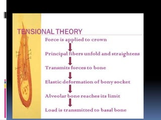 Components of periodontal ligament.pptx