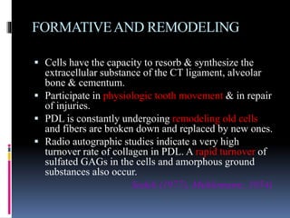 FORMATIVEAND REMODELING
 Cells have the capacity to resorb & synthesize the
extracellular substance of the CT ligament, alveolar
bone & cementum.
 Participate in physiologic tooth movement & in repair
of injuries.
 PDL is constantly undergoing remodeling old cells
and fibers are broken down and replaced by new ones.
 Radio autographic studies indicate a very high
turnover rate of collagen in PDL. A rapid turnover of
sulfated GAGs in the cells and amorphous ground
substances also occur.
Sodek (1977), Muhlemann; 1954)
 