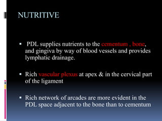 NUTRITIVE
 PDL supplies nutrients to the cementum , bone,
and gingiva by way of blood vessels and provides
lymphatic drainage.
 Rich vascular plexus at apex & in the cervical part
of the ligament
 Rich network of arcades are more evident in the
PDL space adjacent to the bone than to cementum
 