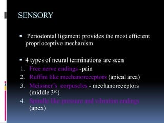 SENSORY
 Periodontal ligament provides the most efficient
proprioceptive mechanism
 4 types of neural terminations are seen
1. Free nerve endings -pain
2. Ruffini like mechanoreceptors (apical area)
3. Meissner’s corpuscles - mechanoreceptors
(middle 3rd)
4. Spindle like pressure and vibration endings
(apex)
 