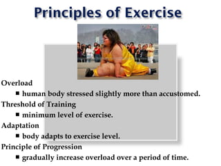 Components of physical fitness | PPT
