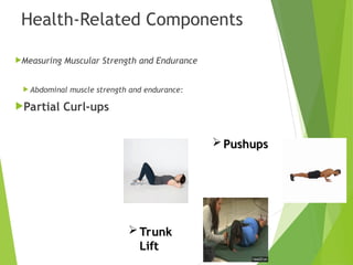 Muscular Strength Component Components of Physical Fitness G9 and 10.ppt
