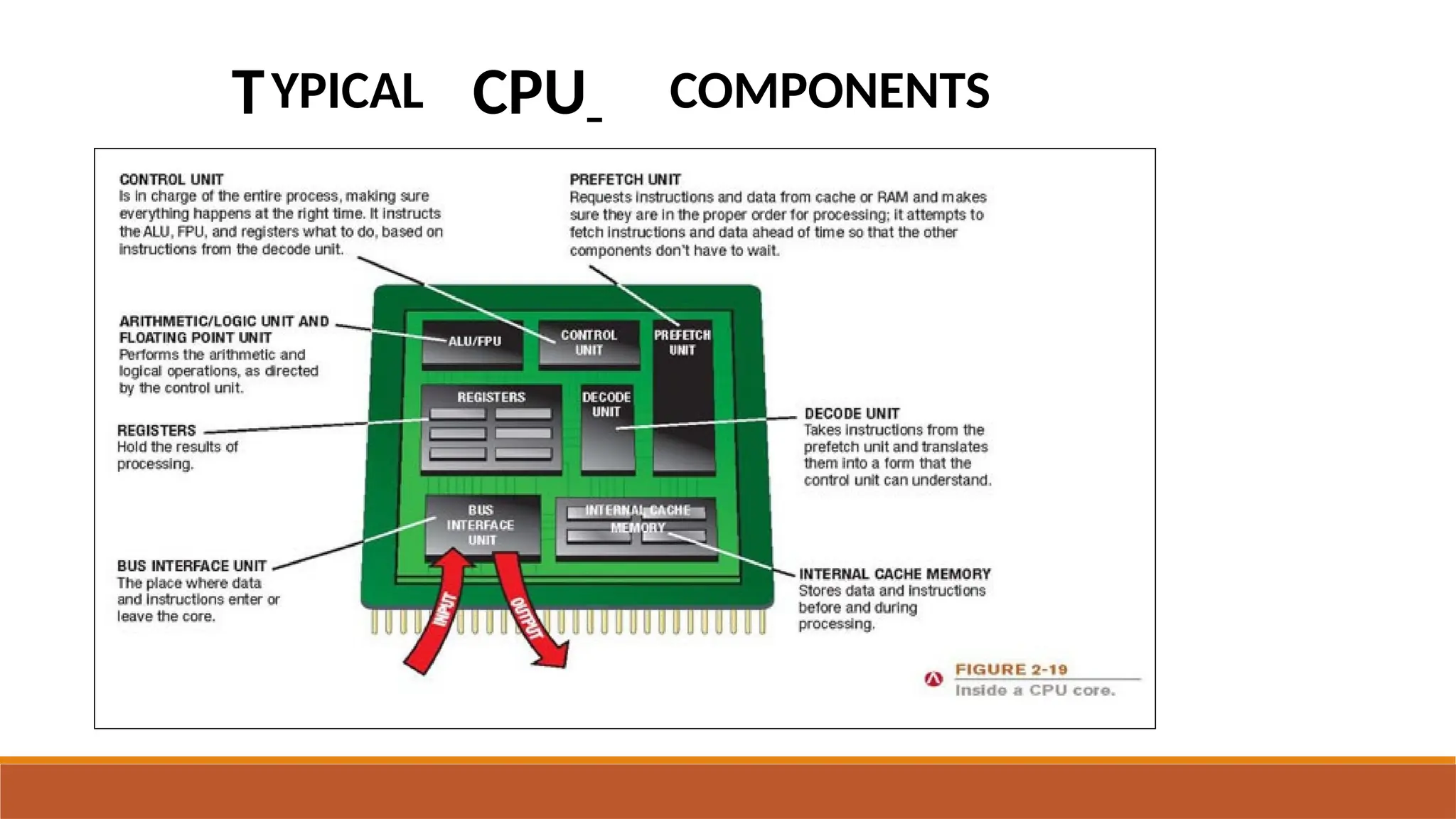 TYPICAL CPU COMPONENTS
 