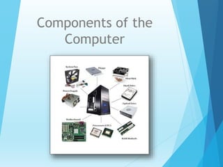 Components of the
Computer
 