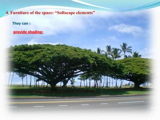 4. Furniture of the space: “Softscape elements”
They can :
provide shading:
 