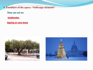 4. Furniture of the space: “Softscape elements”
They can act as:
landmarks:
Ageing or rare trees
 