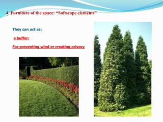 4. Furniture of the space: “Softscape elements”
They can act as:
a buffer:
For preventing wind or creating privacy
 