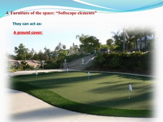 4. Furniture of the space: “Softscape elements”
They can act as:
A ground cover:
 