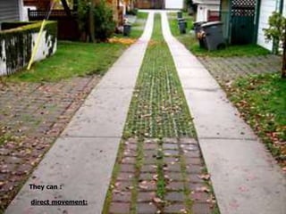 They can :
direct movement:
 