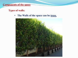 Components of the space
Types of walls:
• The Walls of the space can be trees.
 