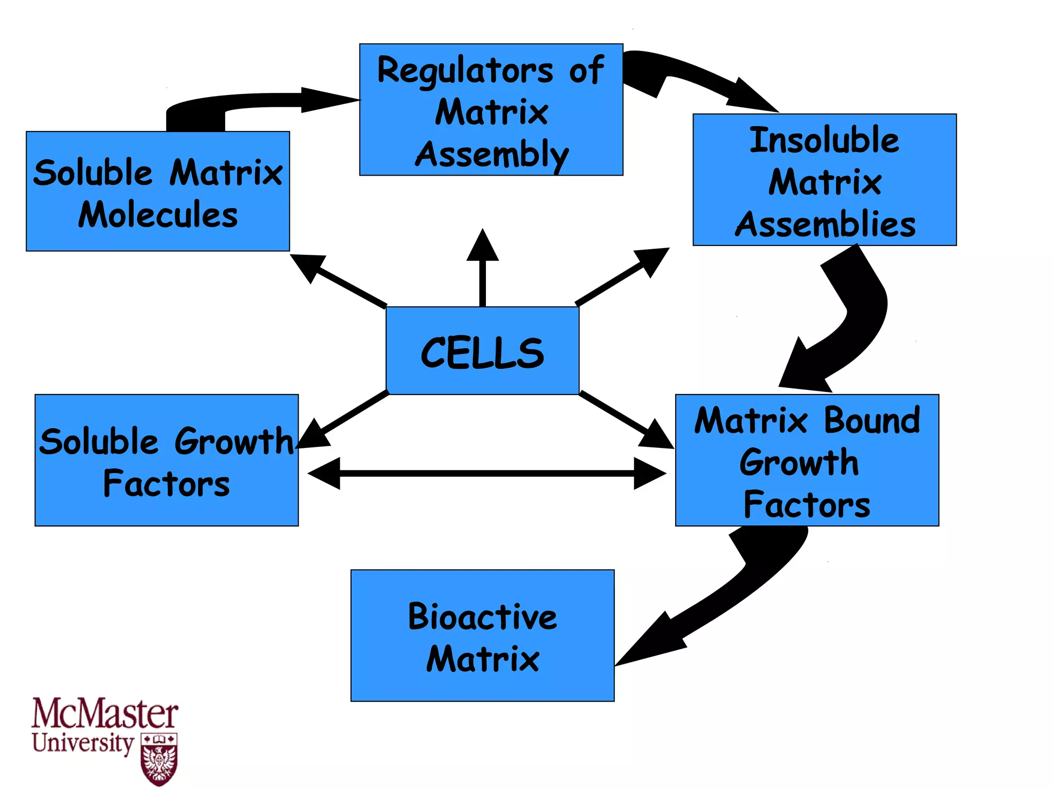 Components of tissue engineering | PPT