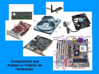 Components que trobem a l'interior de l'ordinador. 