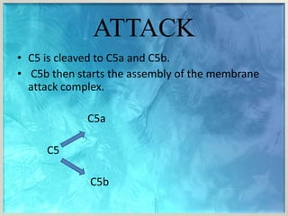 Complement system | PPTX