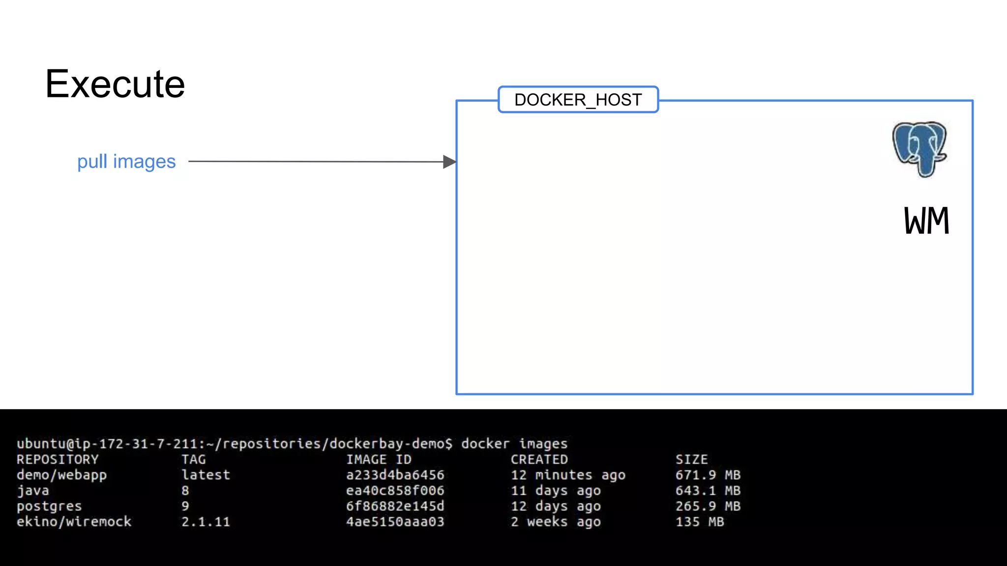 Execute
pull images
DOCKER_HOST
WM
 