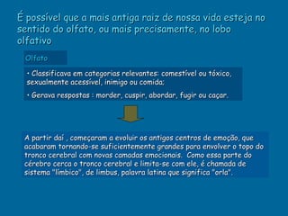 É possível que a mais antiga raiz de nossa vida esteja no
sentido do olfato, ou mais precisamente, no lobo
olfativo
 Olfato

  • Classificava em categorias relevantes: comestível ou tóxico,
  sexualmente acessível, inimigo ou comida;
  • Gerava respostas : morder, cuspir, abordar, fugir ou caçar.




 A partir daí , começaram a evoluir os antigos centros de emoção, que
 acabaram tornando-se suficientemente grandes para envolver o topo do
 tronco cerebral com novas camadas emocionais. Como essa parte do
 cérebro cerca o tronco cerebral e limita-se com ele, é chamada de
 sistema "límbico", de limbus, palavra latina que significa "orla".
 