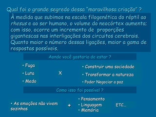 Qual foi o grande segredo dessa “maravilhosa criação” ?
 À medida que subimos na escala filogenética do réptil ao
 rhesus e ao ser humano, o volume do neocórtex aumenta;
 com isso, ocorre um incremento de proporções
 gigantescas nas interligações dos circuitos cerebrais.
 Quanto maior o número dessas ligações, maior a gama de
 respostas possíveis.
                  Aonde você gostaria de estar ?
      • Fuga                          • Construir uma sociedade
      • Luta              X           • Transformar a natureza
      • Medo                          • Poder Negociar a paz

                      Como isso foi possível ?

                                  •   Pensamento
 • As emoções não vivem
 sozinhas
                              +   •   Linguagem         ETC...
                                  •   Memória
 